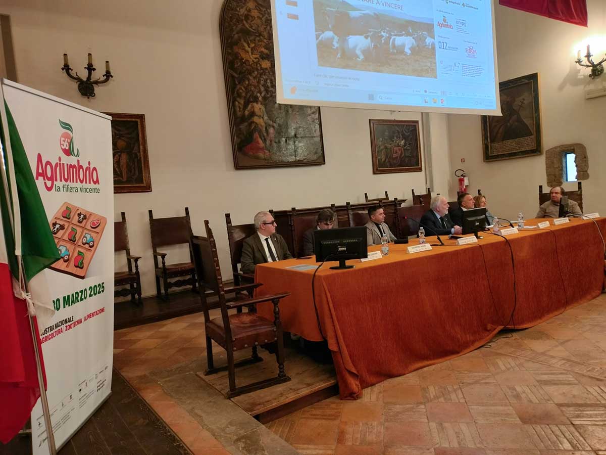 4-convegno-bovini-da-carne-edagricole-umbrafiere-agriumbria-2025