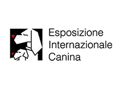 Esposizione Canina